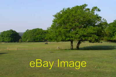 Foto 6x4 Grillenplatz, Bach Common, New Forest mit Blick auf die Fe c2008