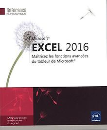 Excel 2016 - Maîtrisez les fonctions avancées du ta... | Buch | Zustand sehr gut