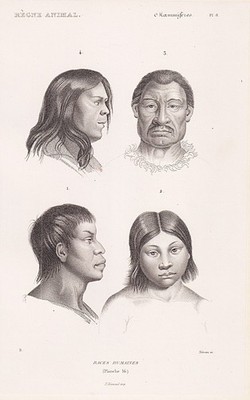 Menschen people Amerika America Indianer Indian gravure Stahlstich Cuvier 1849.