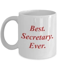 Best Secretary Ever Mug - Funny Tea Hot Cocoa Coffee Cup - Novelty Birthday...
