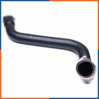 Ladeluftschlauch FüR Renault | 43SKV045, 8200658187