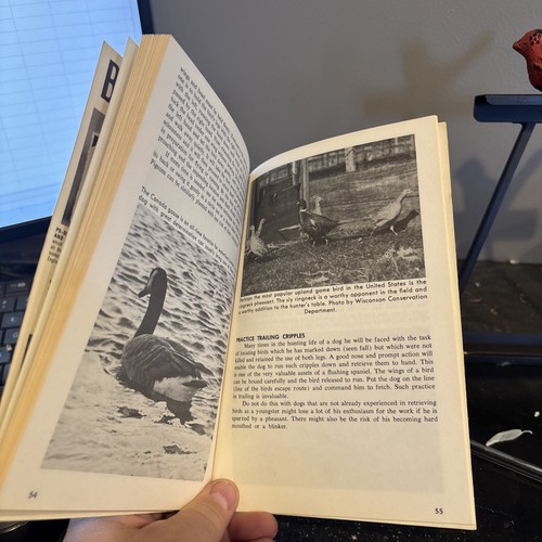 Vintage 1965 Hunting With Flushing Dogs By Joe Stetson Paperback Book TFH - Picture 11 of 12