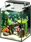 Glass Aquarium Starter Kits 1.5 Gallon Small Fish Tank, Betta Fish Tank for Home