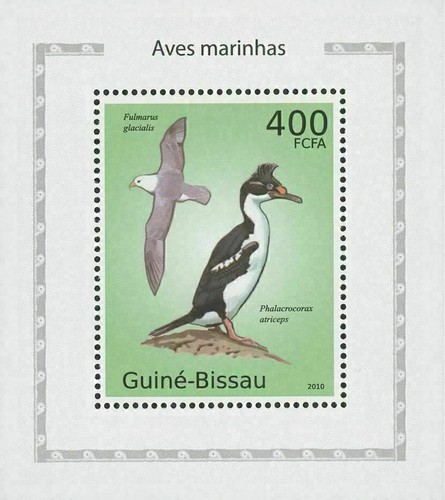 Sea Birds Fulmarus Glacialis Mini Sov. Sheet MNH - Picture 2 of 2