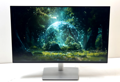 DELL P2425HE 24
