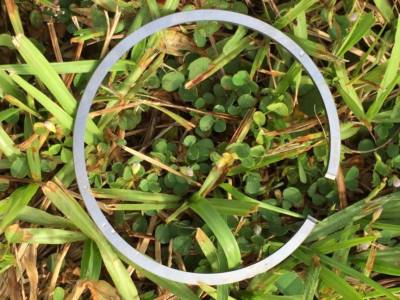 Cinghia Mitsuboshi Anelli Pistone Caber 48x1,2 Mm Per Motoseghe Stihl 036, MS360, 034 Super - Confezione Da 2 Anelli, Made In Italy Coppia Conica Decespugliatore Stihl - Foto 6