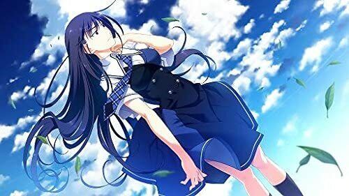 The Labyrinth of Grisaia (no Meikyuu) Japanese Import PC Windows JP US  Seller