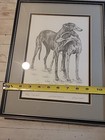 Picture 9 of 9