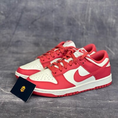 nike dunk shoppe