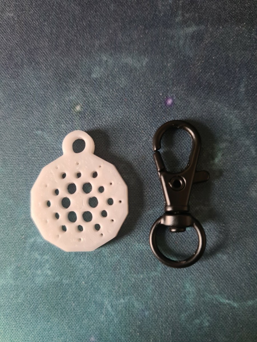 White Cardano Trolley Token - UK £1-Size | eBay UK