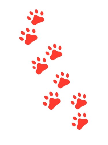 CALCOMANÍA DE VINILO IMPRESIONES DE PATAS DE GATO PARA CAMIÓN SUV parachoques pared computadora portátil decoración del hogar pequeña - Imagen 4 de 8