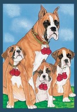 Boxer Blank Note Card