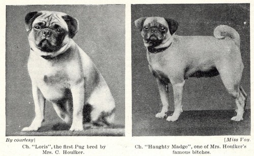 Pug "Duo" - 1934 Vintage Dog Art "Photo" Print - CUSTOM MATTED 5x7