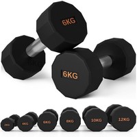 SPORTNOW Dumbbells Weights Set with 12-Sided Shape and Non-Slip Grip, 2 x 6kg