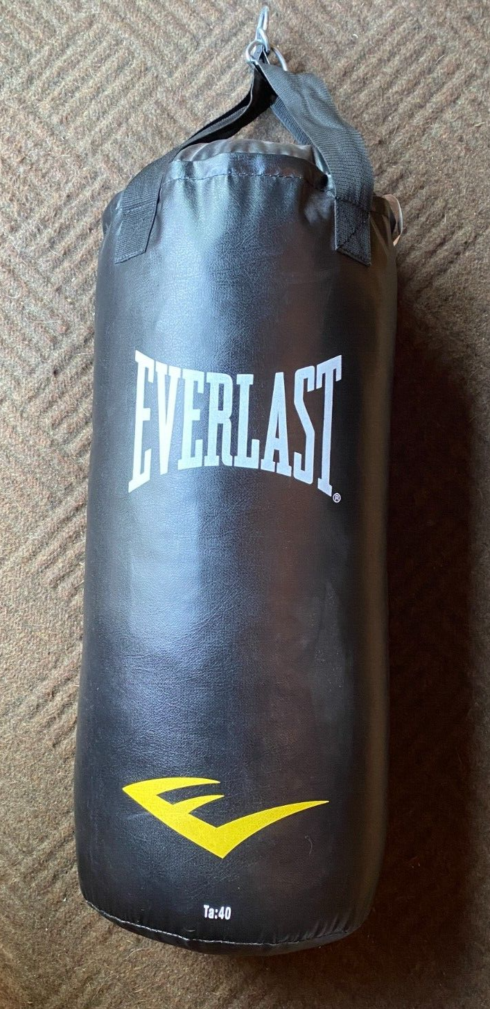 40 lb everlast punching bag