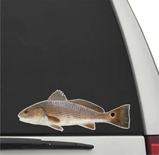 RED DRUM REDFISH Fish Vinyl Decal Car Truck Sticker Fishing Decal