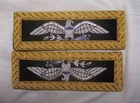 Colonel Army Eagle Staff Officer Uniform Rank Civil Indian War Boards Straps US