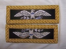 Colonel Army Eagle Staff Officer Uniform Rank Civil Indian War Boards Straps US
