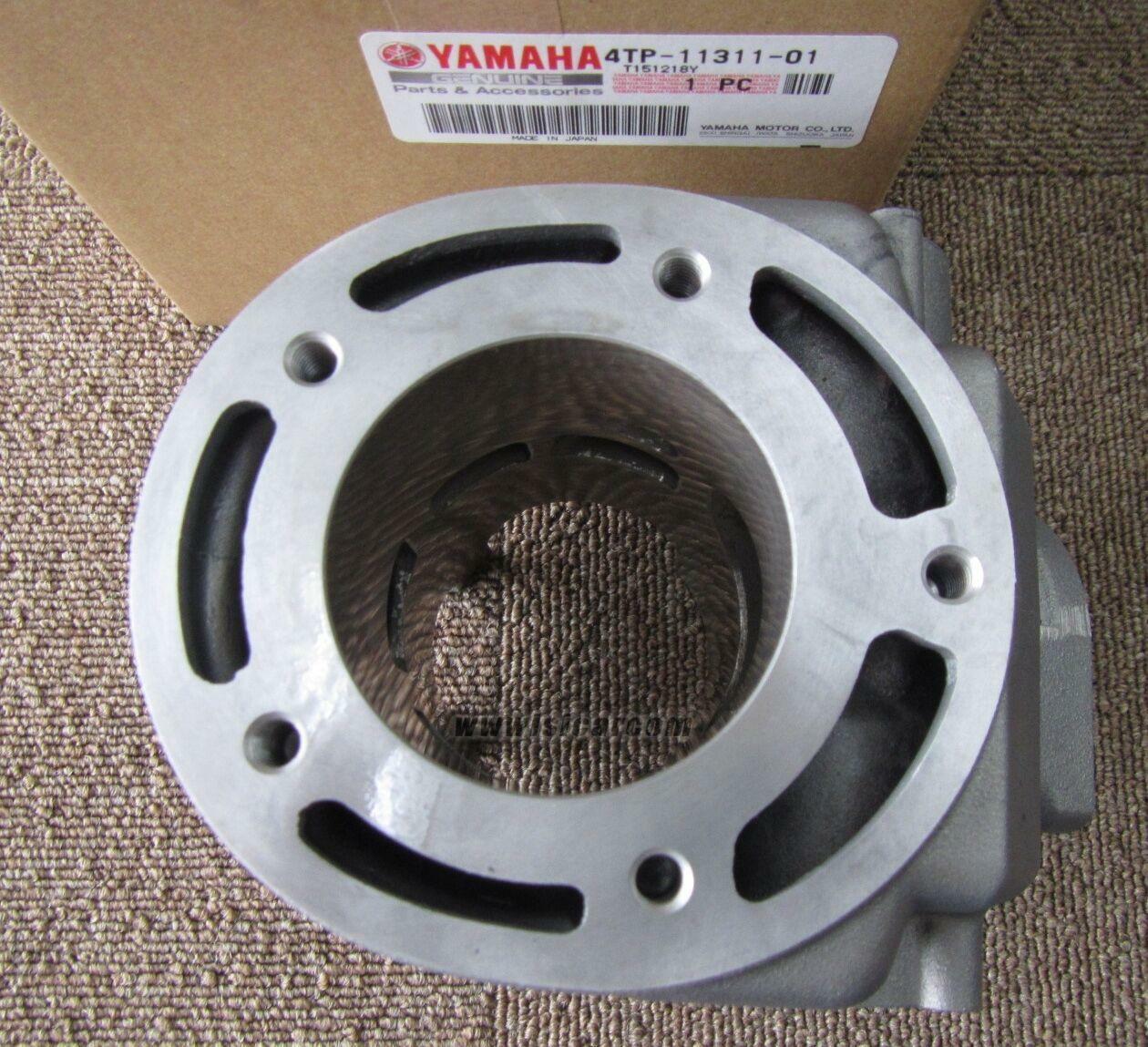 Yamaha Lanza Dt230 4tp Cylinder No1 4tp-11311-01 Hard Coating With ...