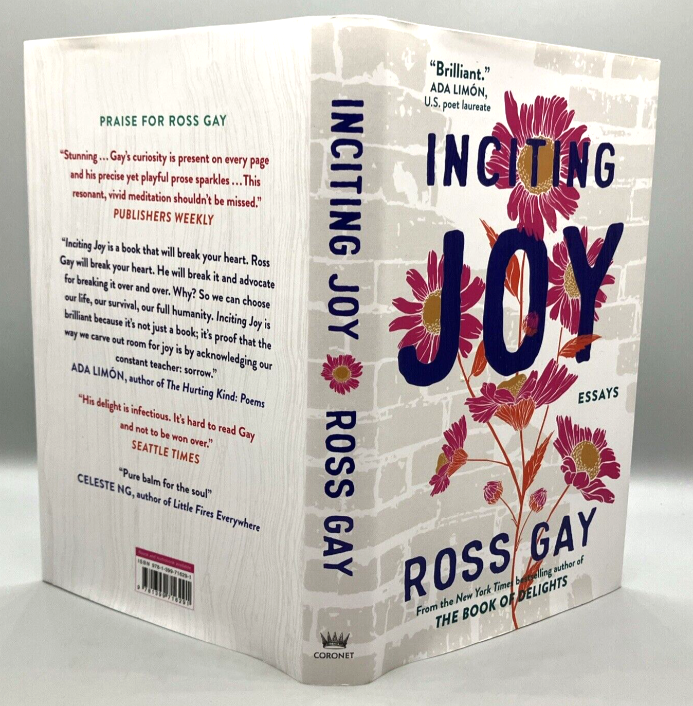 Inciting Joy Essays by Ross Gay Hardcover UK First Edition Book