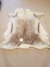 Reindeer Skin Rug Premium XL 52" X 46" . 132cm X 117cm Approx