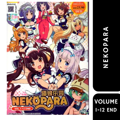DVD Anime Nekopara (Vol. 1-12 End) Complete TV Series All Region