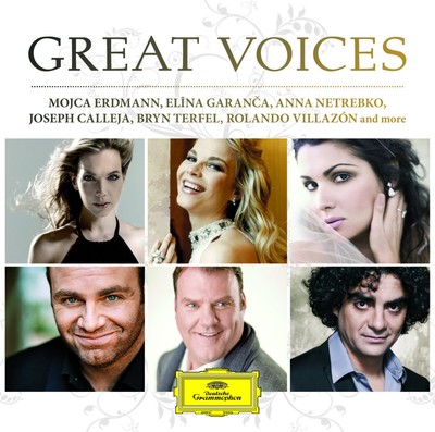 Various - Great Voices | CD
