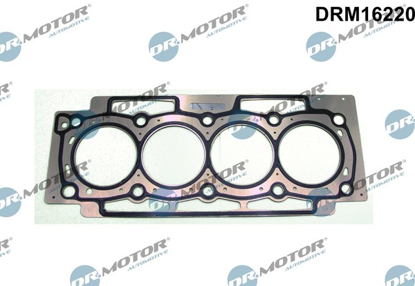 Dr.Motor Automotive DRM16220 Dichtung Zylinderkopf FüR CitroëN Fiat Lancia Peuge-image