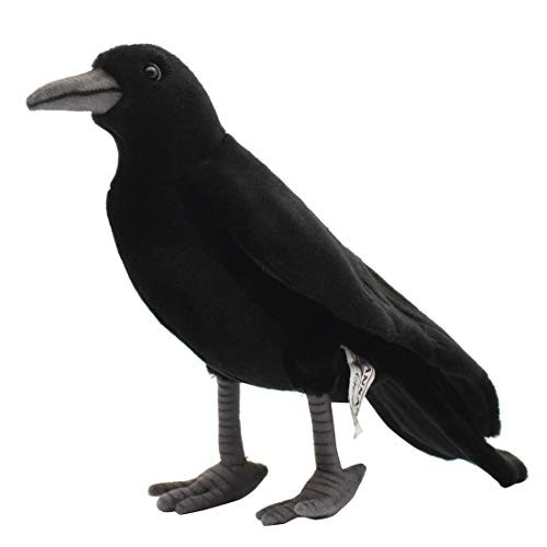 BH 6266 HANSA Crow 31 - Afbeelding 1 van 1
