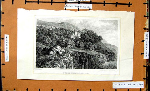 Original Old Antique Print View Steephill Undercliff Mountains