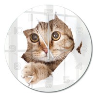 Runde Wanduhr Aus GehäRtetem Glas Runde Glas-Wanduhr Katze WeißE Zeiger Fi60 Cm