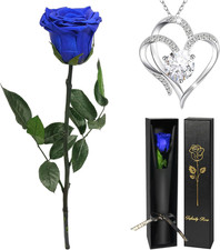 Birthday Flowers Gifts for Women, Real Rose with Heart Necklace Gifts for Mom Gr