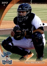 2017 Jupiter Hammerheads Grandstand #21 Roy Morales Lares Puerto Rico PR Card