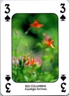 Bild 52 von 54