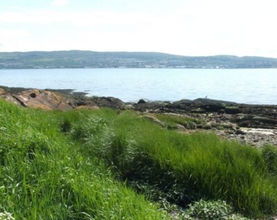 Photo 6x4 Syncline at Ardmore Point Kelhurn [This is the first of three p c2009