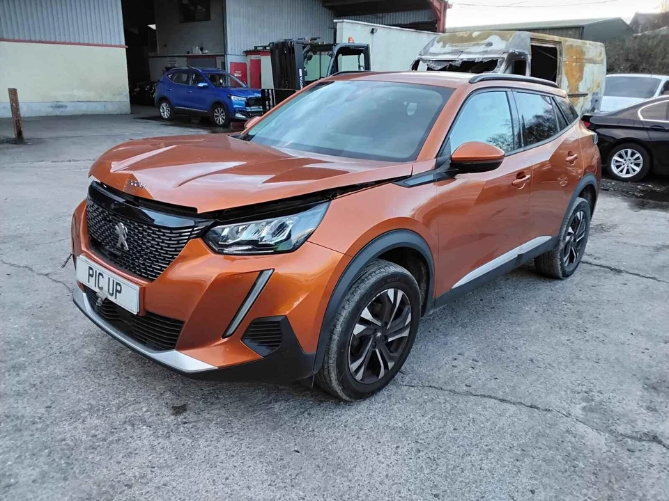 Peugeot 2008 Mk2 19-24 NSF Passenger Left Front Door Handle Fusion Orange A69674 — 第 2/2 张图片