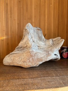 Driftwood Pezzo grande ceppo d'albero argento palude per viv o esposizione