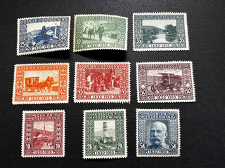 Sellos austro de Bosnia y Herzegovina húngaro 1910 / NG MLH / 1V079
