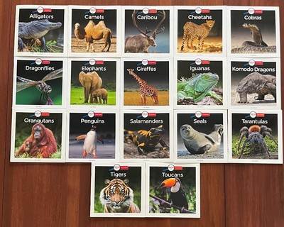 Wild Animal Books *Build Your Own*BRAND NEW** Science Homeschool Zoo