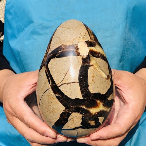 3.76LB Natural Turtle Back Stone Egg Shape Dragon Crystal Crack healing 2409 - Picture 8 of 14