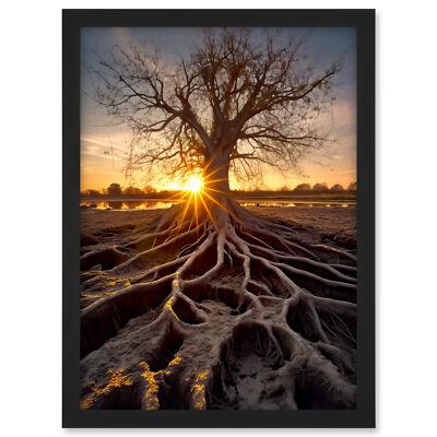 Sunset on Ancient Tree Atmospheric Photograph Autumn Framed Wall Art Print A3