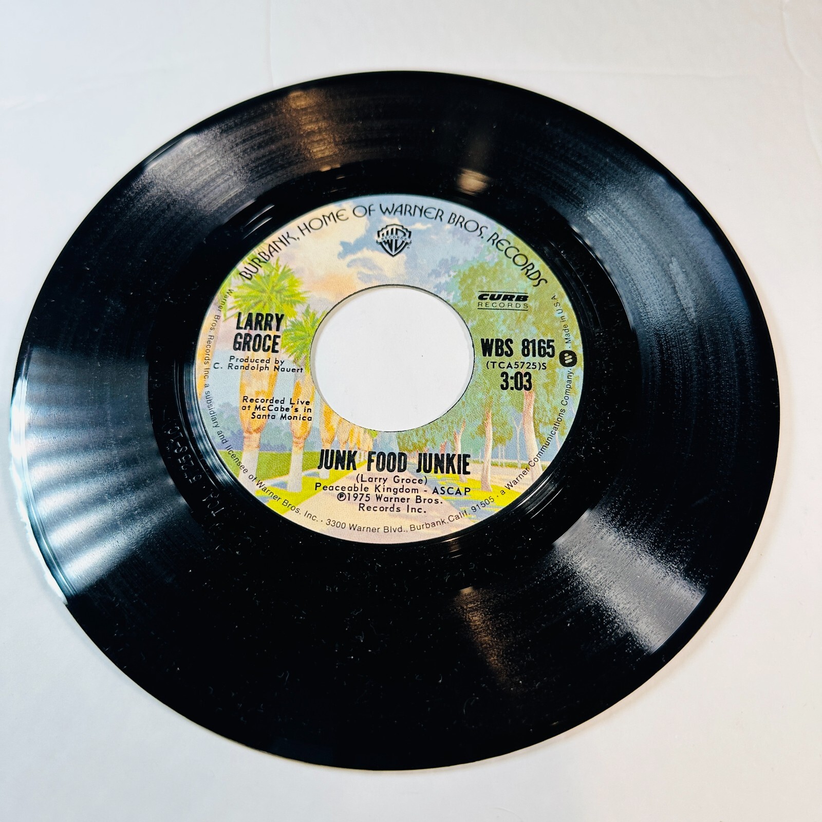 Larry Groce Junk Food Junkie / Muddy Boggy Banjo Man 45 RPM Vinyl