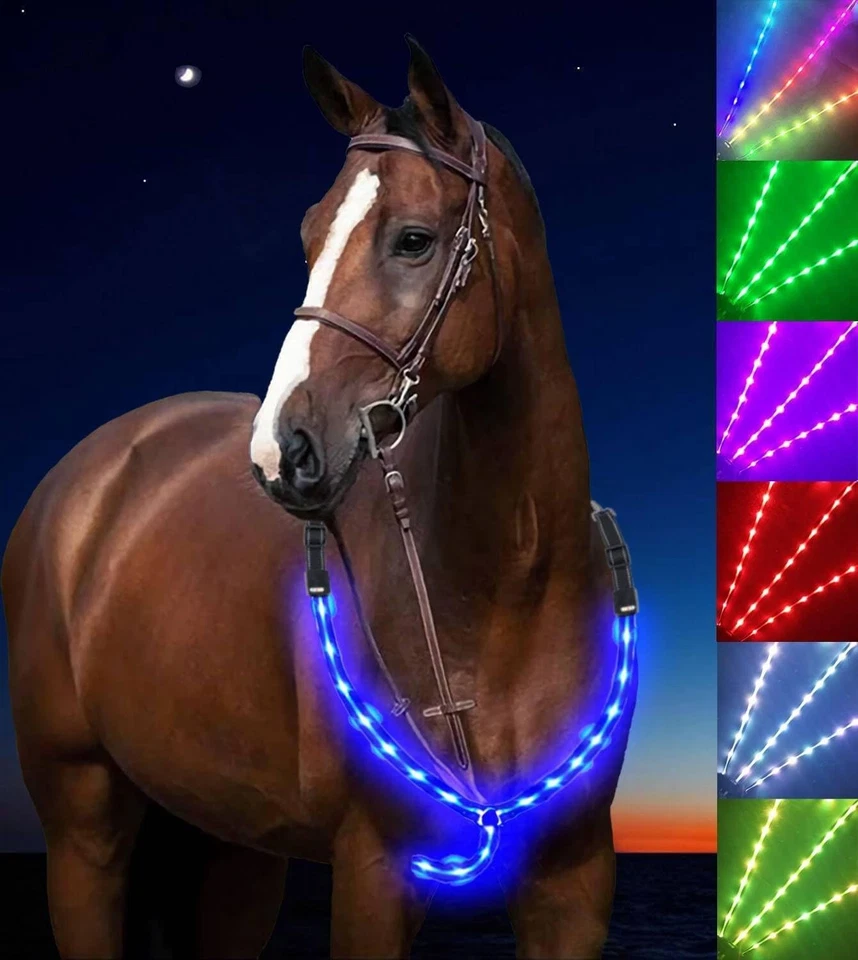 USB Rechargeable LED Horse Tack - Added Visibility & Safety - Image 3 of 4