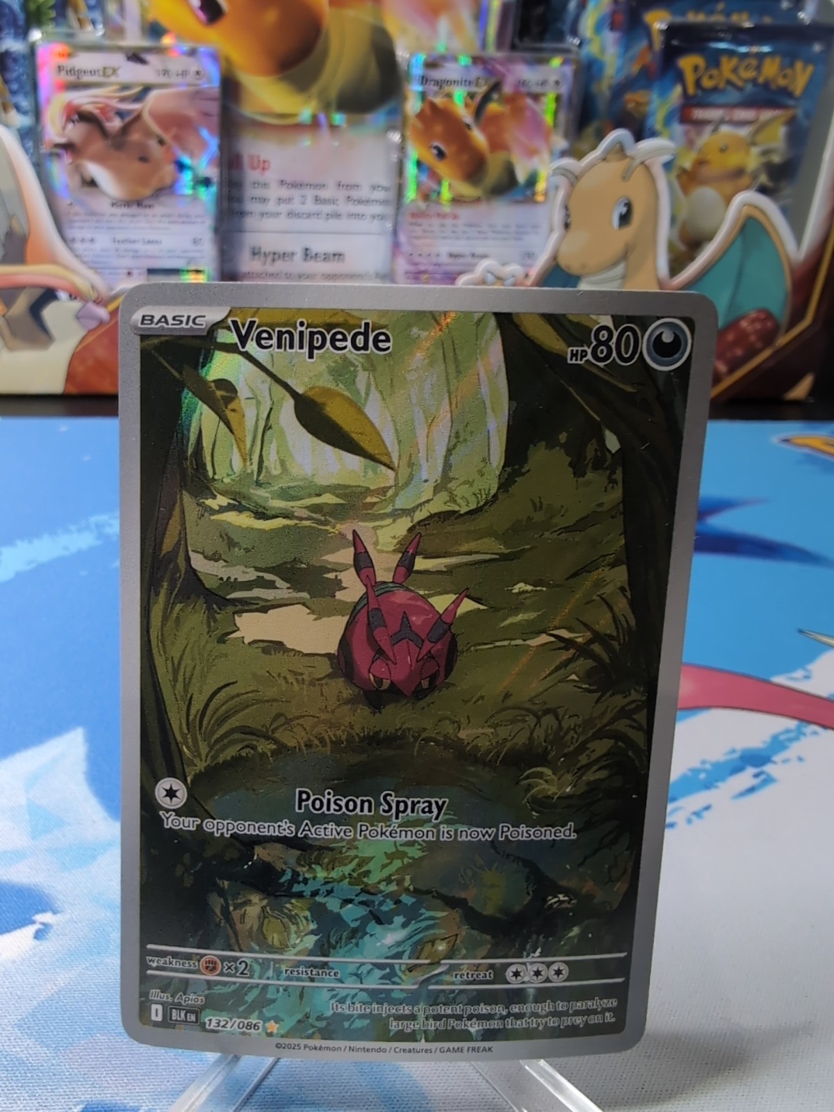 Venipede 132/086 Illustration Rare Full Art - Pokémon Black Bolt NM
