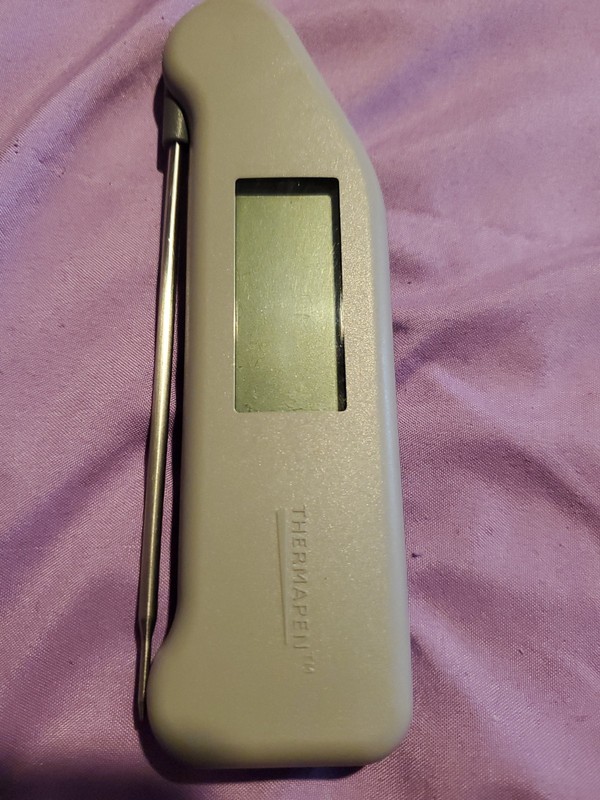 ThermoWorks Thermapen