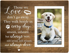 Memorial Picture Frame, Pet Picture Frame, Sympathy Gifts for Loss of Loved P...