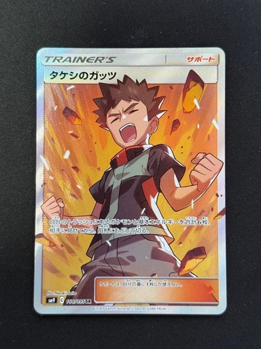 Brock's Grit SR 108/095 SM9 Tag Bolt - Pokemon Card