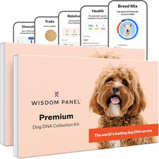 Panel Premium Dog DNA Kit: Most Comprehensive with 265 Health Tests, Identify 3