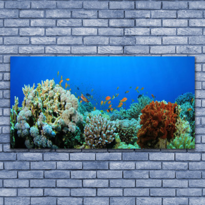 Tableau Déco Murale "Récif De Corail" - Impression Sur Toile 70x100cm - ARTTOR