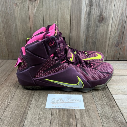 lebron james 12 double helix